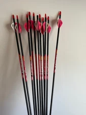 Bow Madness 300 spine arrows qty 11 fletched with inserts 29-15/16" long