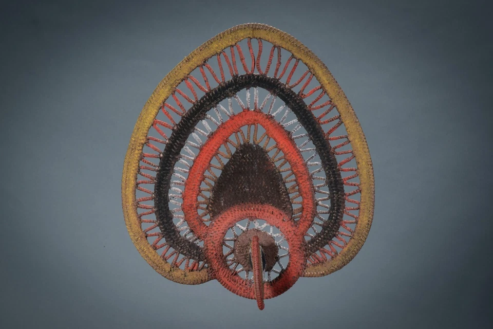 YAM MASK, Abelam people, East Sepik Province, PNG - image 2 of 4