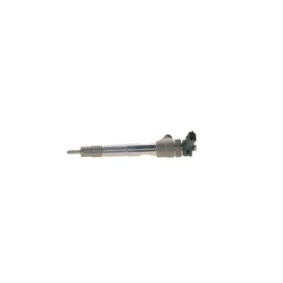 Einspritzdüse Bosch 0445110800 für Renault