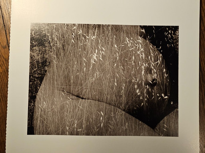 Ruth Bernhard Nude Print 1994 | eBay