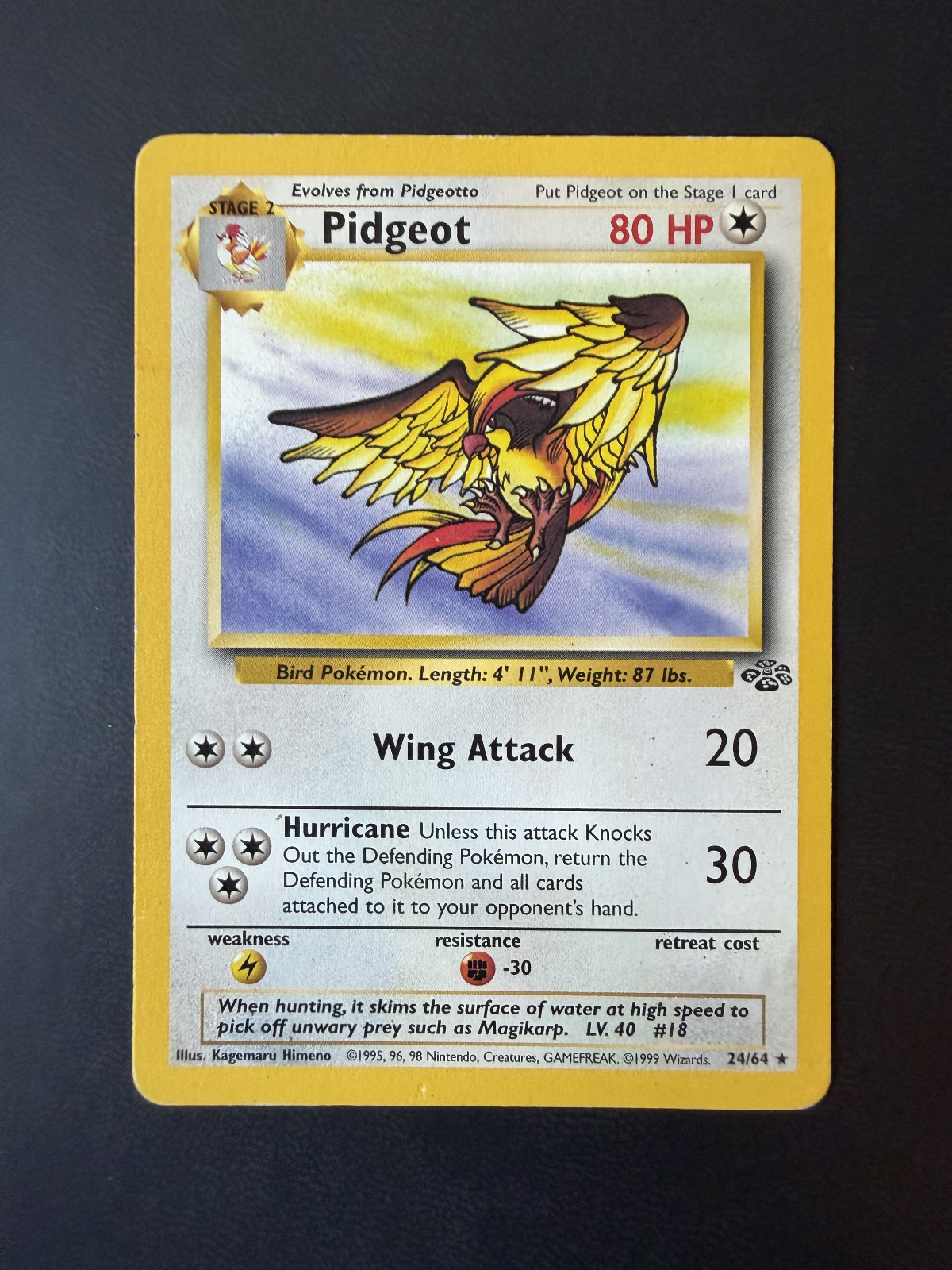 Pidgeot 24/64 Jungle Regular