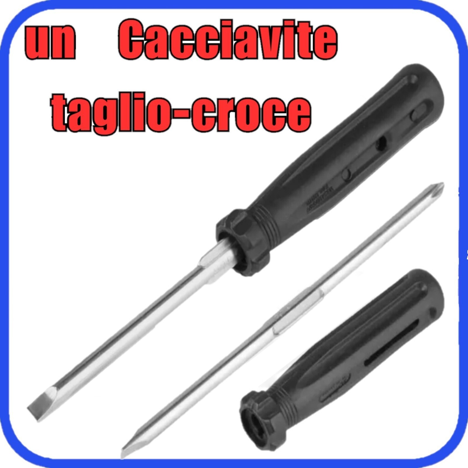 Foto 6 di 11
