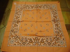 ORANGE PAISLEY BANDANNA