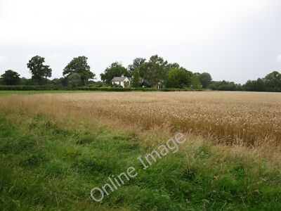 Foto 12x8 Cottage umgeben von Weizenfeld Wolverton Common c2011