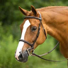 Premium Leather English Horse Bridle with Tack Set Available all Sizes