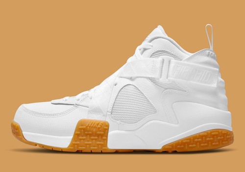 nike air raid 10.5
