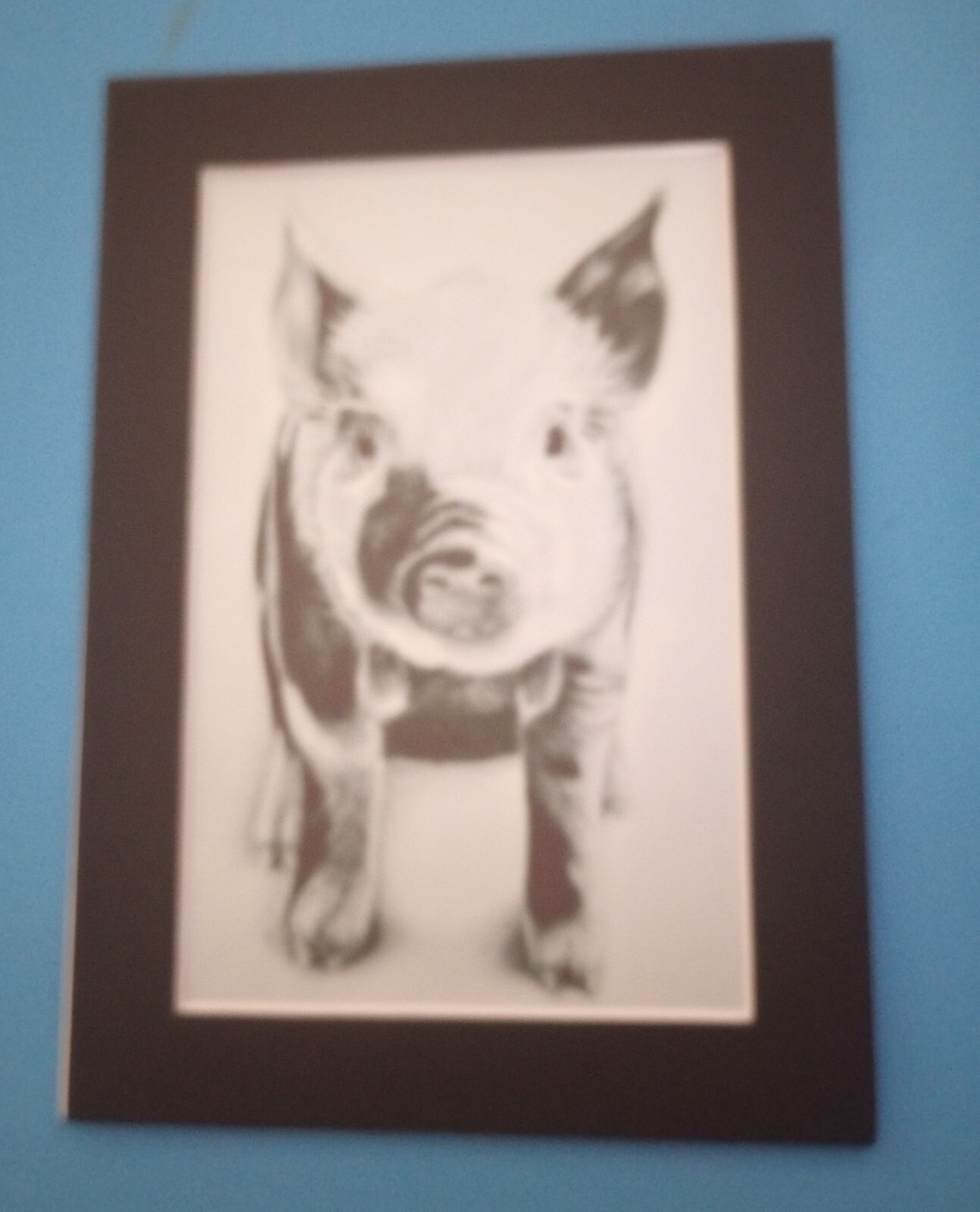 Picture 1 of 2