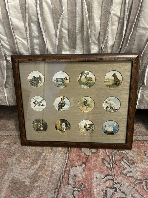 Framed collection of Victorian Prattware pot lids
