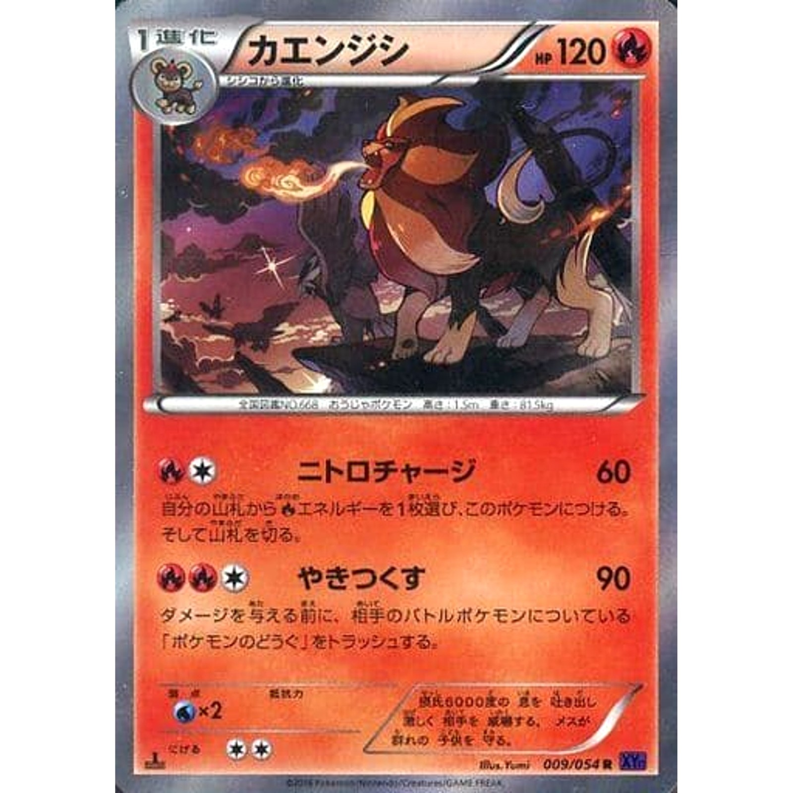 Pokemon Pyroar Holo R 009/054 XY11 Fever-Burst Fighter Japanese Card