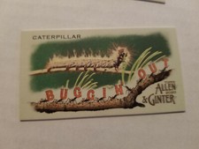 2020 Allen & Ginter Mini Buggin' Out Insert Caterpillar #MBO-18 FREE SHIPPING