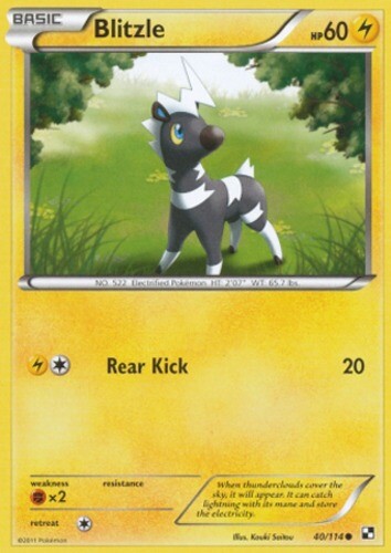 Pokemon - Blitzle - 40/114 - Common - Black and White - NM