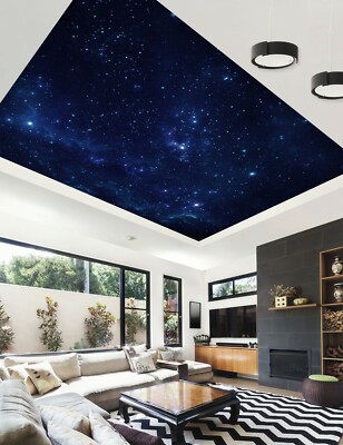 3D Star Nature 1092 WallPaper Murals Wall Print Decal Wall Deco AJ WALLPAPER Zoe