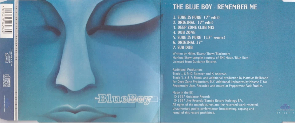 The Blue Boy - Remember Me  (7 Track Maxi CD) - Bild 1 von 1