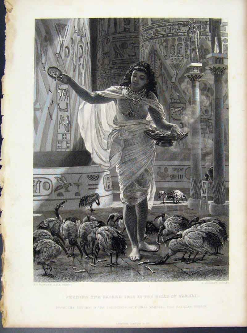 Original Antiguo Estampado Alimentación Sagrado Ibis Salones Karnac Grabado