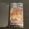 SEALED Eevee VMAX SWSH087 Black Star Promo Full Art Holo Pokémon TCG 2021 NM