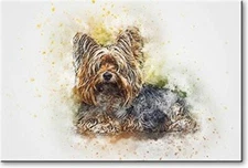 Puppy Drawing Picture on Stretched Canvas, Wall Art Décor, Ready to Hang