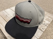 MiLB Lehigh Valley Iron Pigs ‘47 Brand Bacon Clean Up One Size Hat Cap