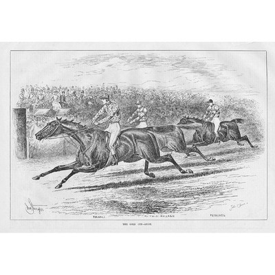 HORSE RACING The Gold Cup at Ascot - Antique Print 1882