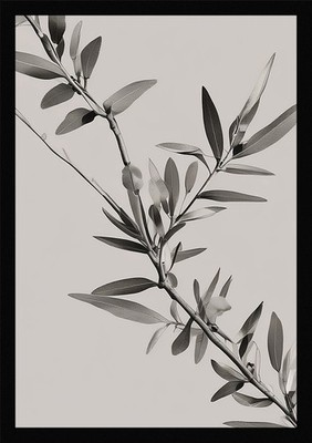 Soft Olive Branches Framed Wall Art Poster Canvas Print Picture