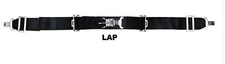 3" Lap Belt, Off-Roading Belt, Quick Release Latch, Black