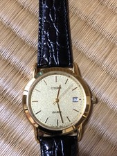 Citizen Exceed Eco-Drive Quartz Men's Watch Gold Case Black Leather Strap