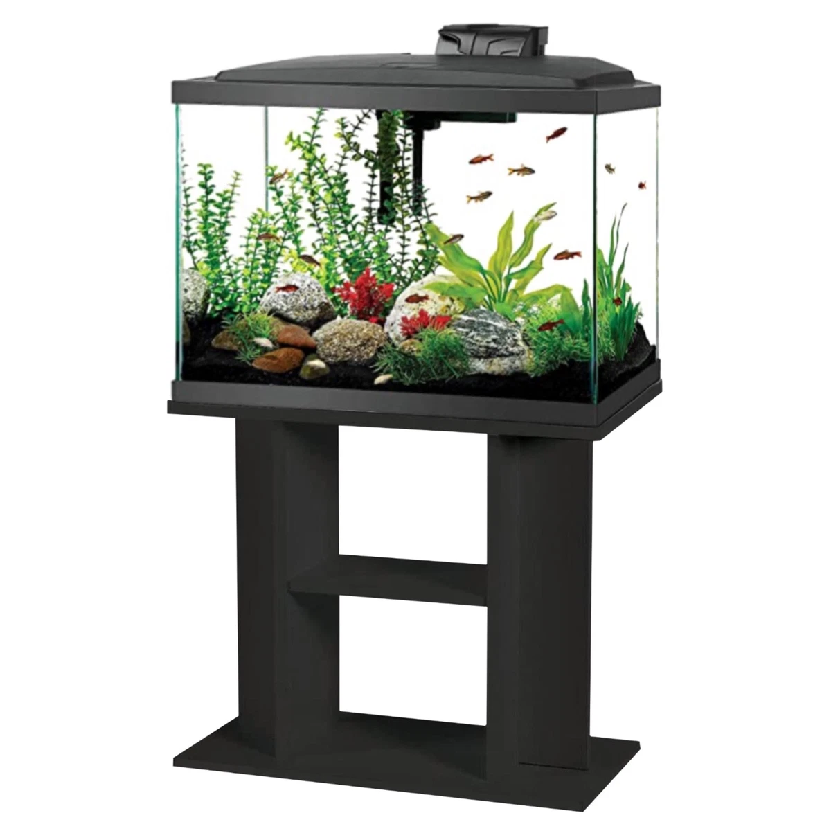 Fish tank and clearance stand
