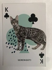 Serengeti Top Cat Kitten Artist Cartoon Artwork Playing Swap Card. King of Clubs