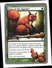 Magic The Gathering MTG - Unhinged UNH 2004 - #96 Form of the Squirrel NM  x1
