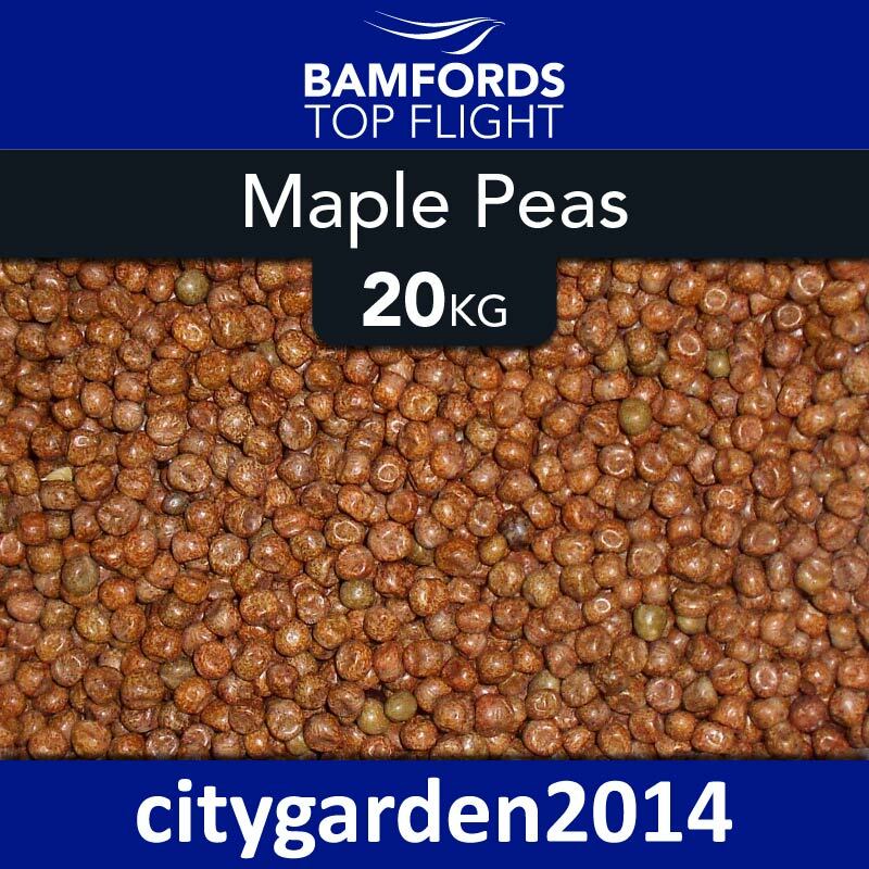 Maple Peas 20kg Bamfords Fishing Bait Carp Fishing Particle / Bird