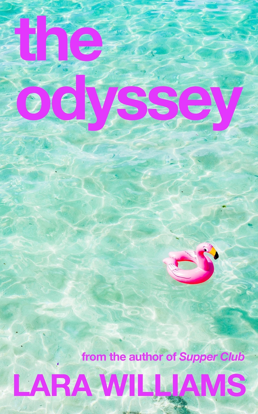 Thumbnail - The Odyssey - Lara Williams - 9780241502815
