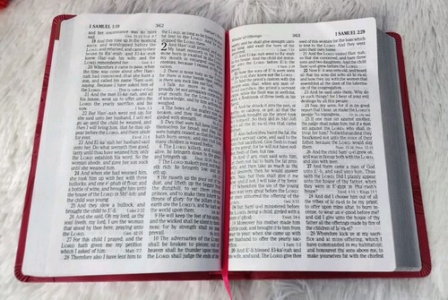 Holman KJV Holy Bible Personal Size Pink Leathertouch Silver Gilt Maps - Bild 8 von 11