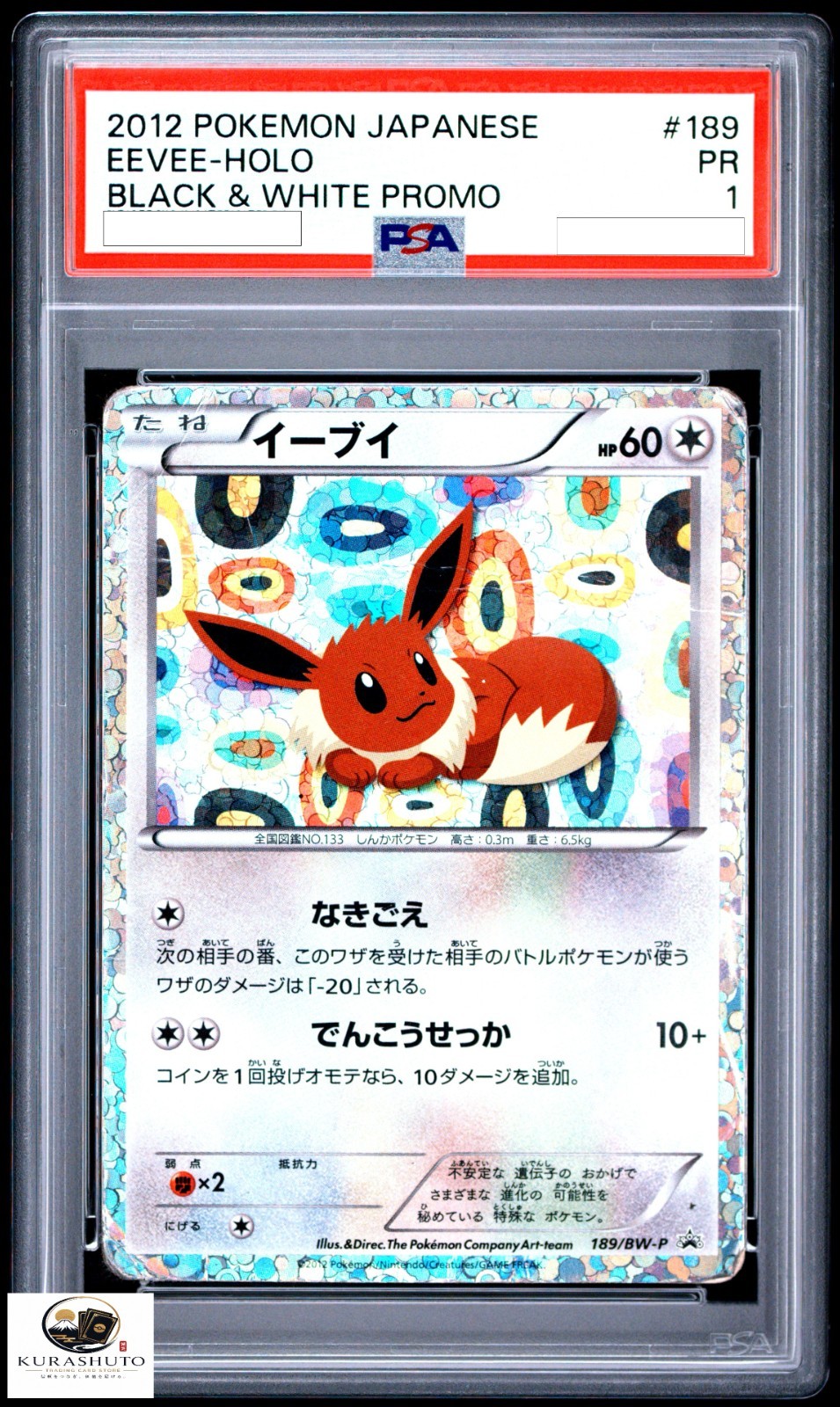 Eevee 2012 Japanese BW-P Promo #189/BW-P Eevee File Collection