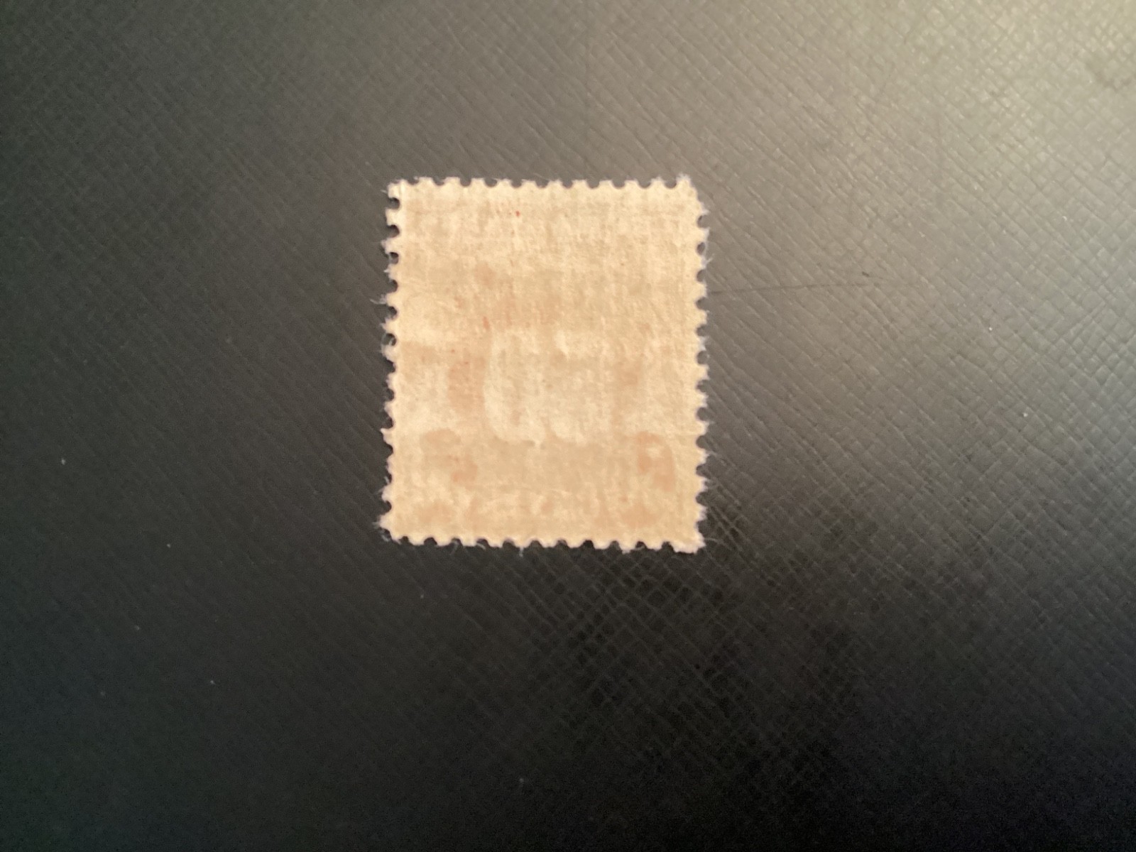Picture 2