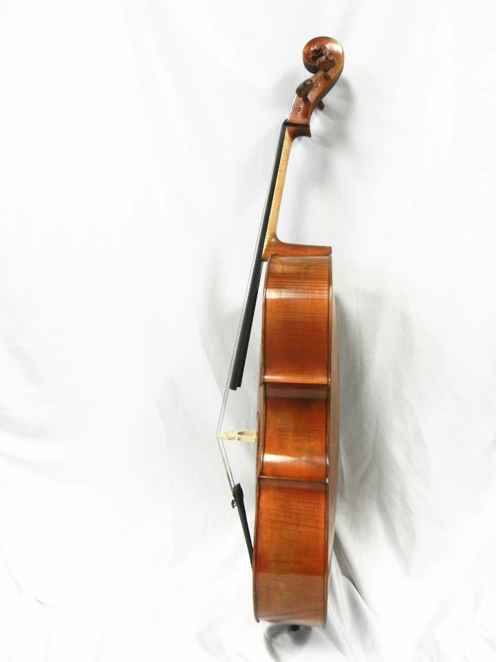 NEW Eastman Cello Pietro Lombardi ( VC502) 4/4 SIZE W/CASE & BOW FREE SHIPPING - Image 3 of 4