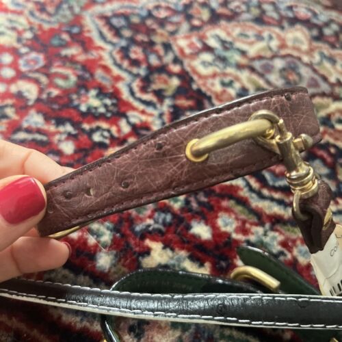 Dog Collar And Leash Ostrich Small South Africa Made - Picture 8 of 11