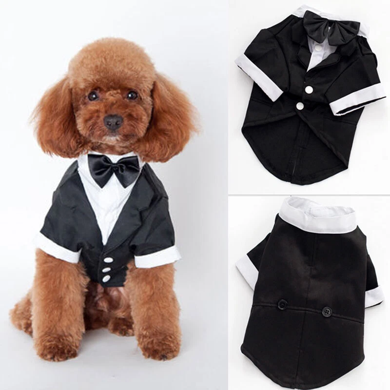 Ropa para Mascotas Boda Formal Camiseta Cachorro Perro Gato Pajarita Esmoquin Caballero Traje EE. UU. Foto 3 de 4