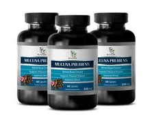Natural Strength - MUCUNA PRURIENS - Endurance Support 3 Bottles 180 Capsules
