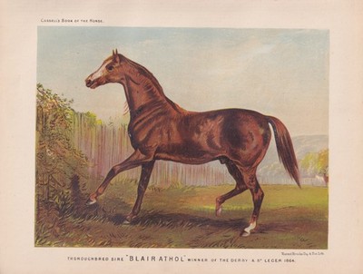 Champion Thoroughbred Racehorse '' BLAIR ATHOL ''  Antique Horse Lithograph 1873