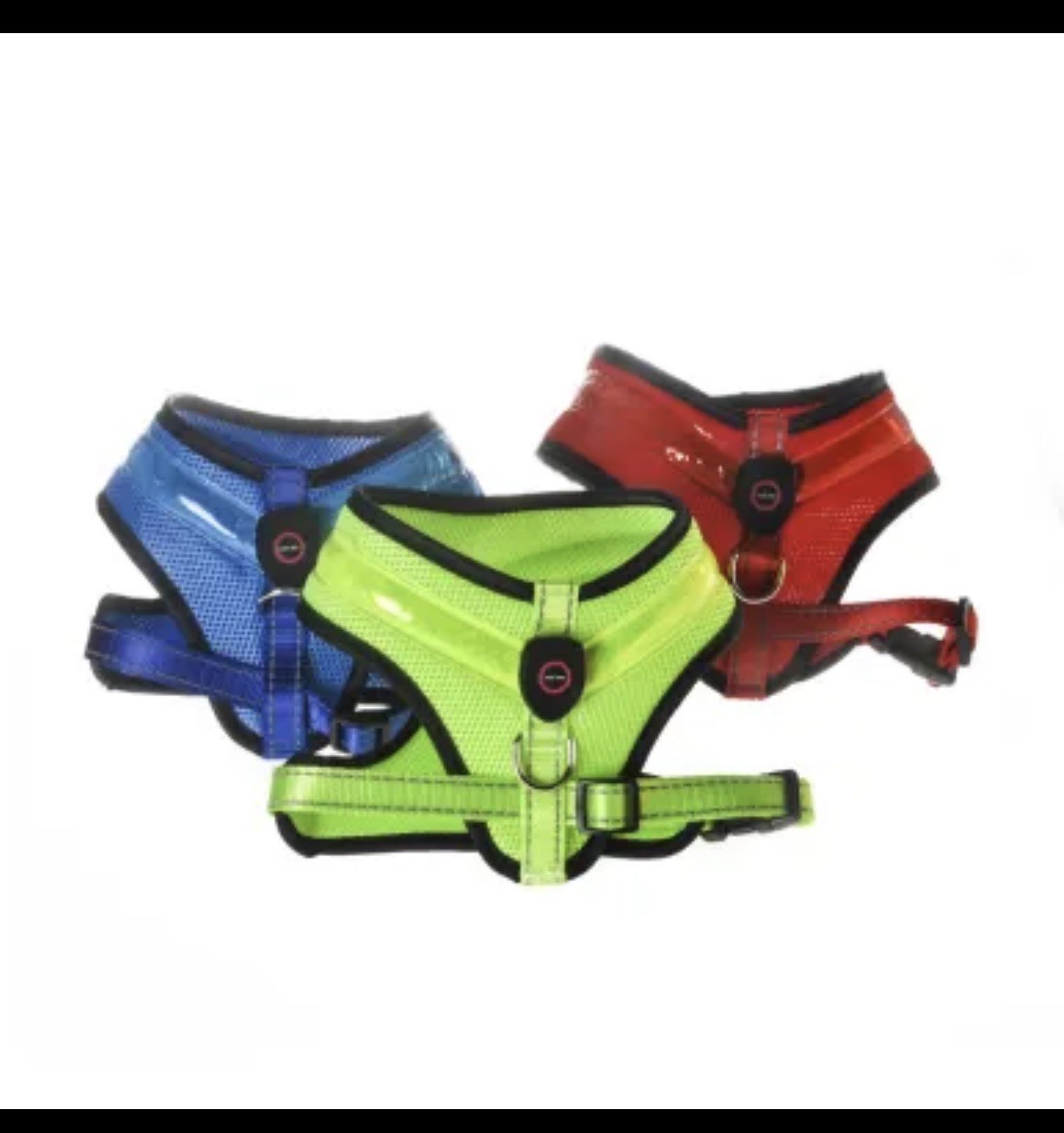 Harnais LED chien rechargeable USB ajustable et gilet de sécurité réfléchissant