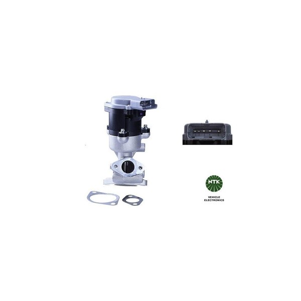 Agr-Ventil Ntk 95145 FüR CitroËN Jaguar Land Rover, Links-image