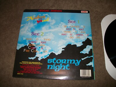 米LP Wailing Souls Stormy Night RRTG7767 Rohit Records /00260 s-l400.jpg