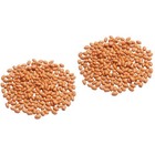 2 Bags Artificial Food Props Fruits Simulation Peanut Dried Decorations