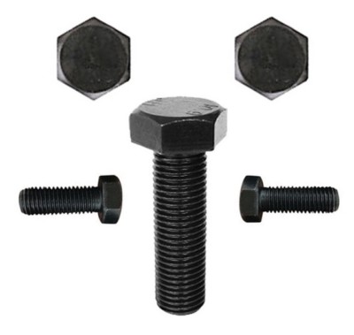 M4 M5 M6 M8 M10 M12 304 Edelstahl Sechskantschraube Schrauben- und Mutternsatz Große Vollverlängerungsschraube(60mm,M6 (5set)) ab 17,73 € (August 2026 M4 M5 M6 M8 M10 M12 304 Edelstahl Sechskantschraube Schrauben- und Mutternsatz Große Vollverlängerungsschraube(60mm,M6 (5set)) ab 17,73 € (August 2026