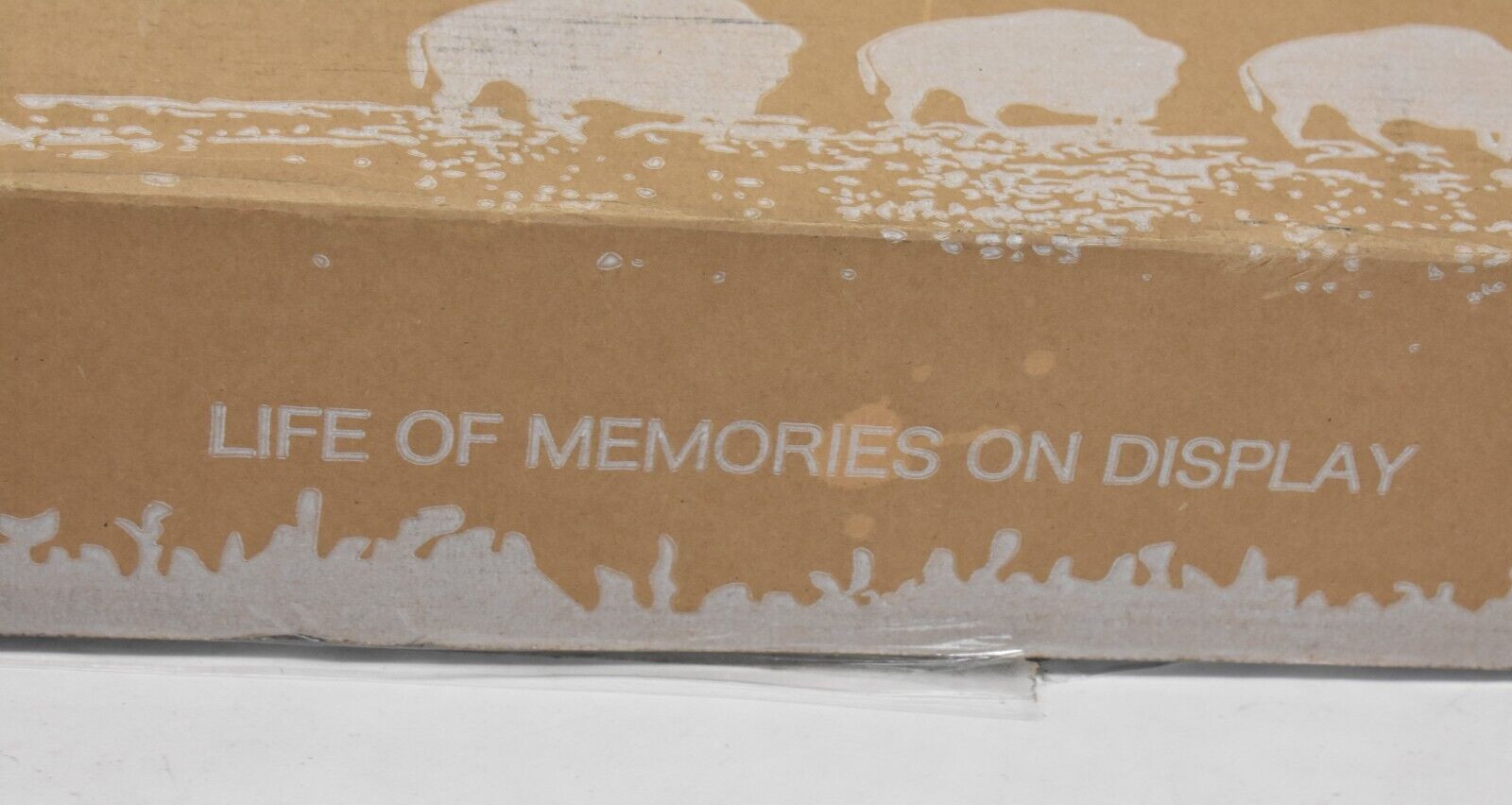 Homeforia White Floating Shelves 24" Premium Solid Wood Floating Shelves White