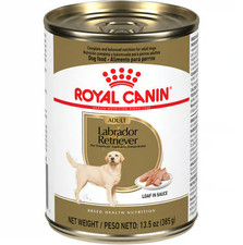 Royal Canin Labrador Retriever Adult Wet Dog Food Loaf in Sauce