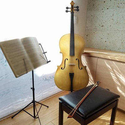 New 4/4 Size Matte Golden Cello +Bag+ Bow+ Rosin + Bridge+ Accessories Gift