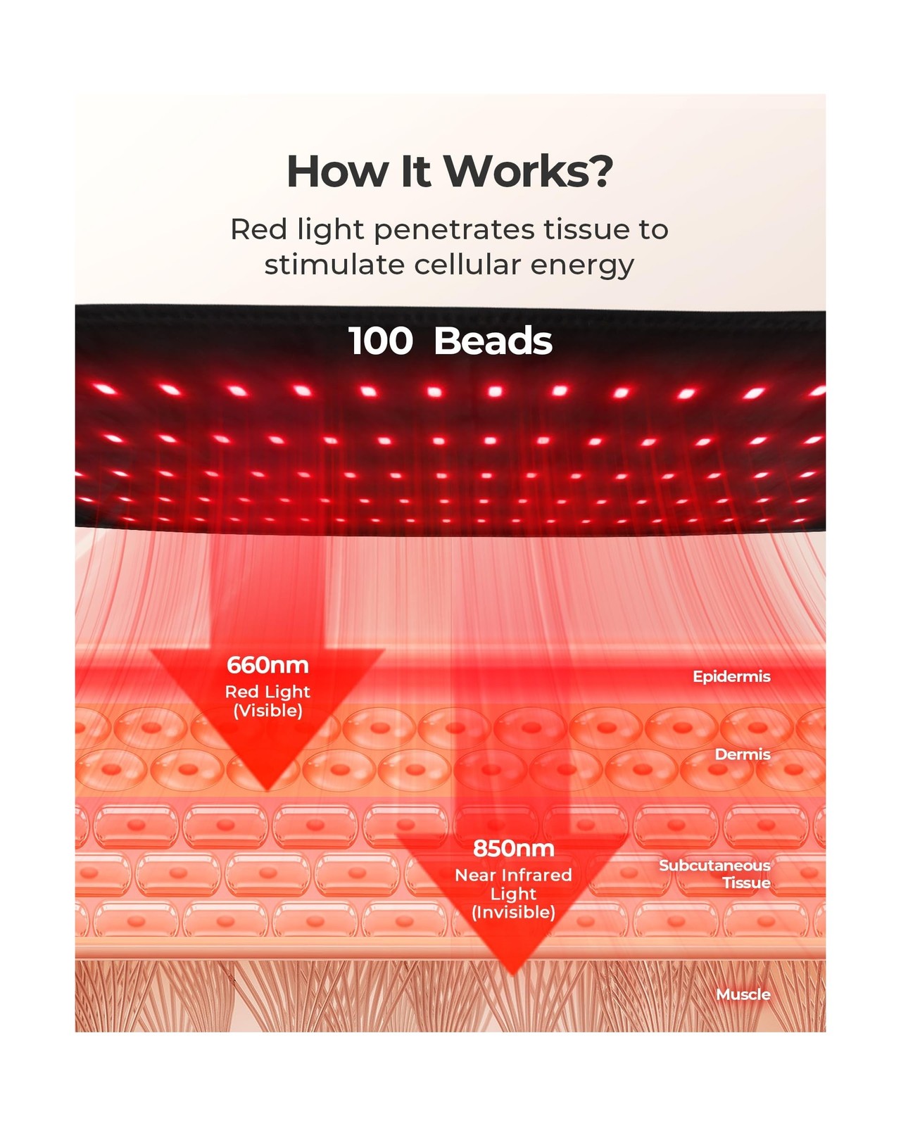 XASLA Red Light Therapy Belt, 660nm & 850nm Near Infrared Light The... Fast Ship