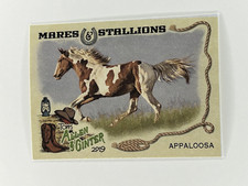 2019 Topps Allen and Ginter Mares and Stallions Appaloosa MS-7