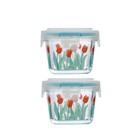 Small Square Glass Containers with Lids, Floral Glass Meal Prep Bowl Airtight...