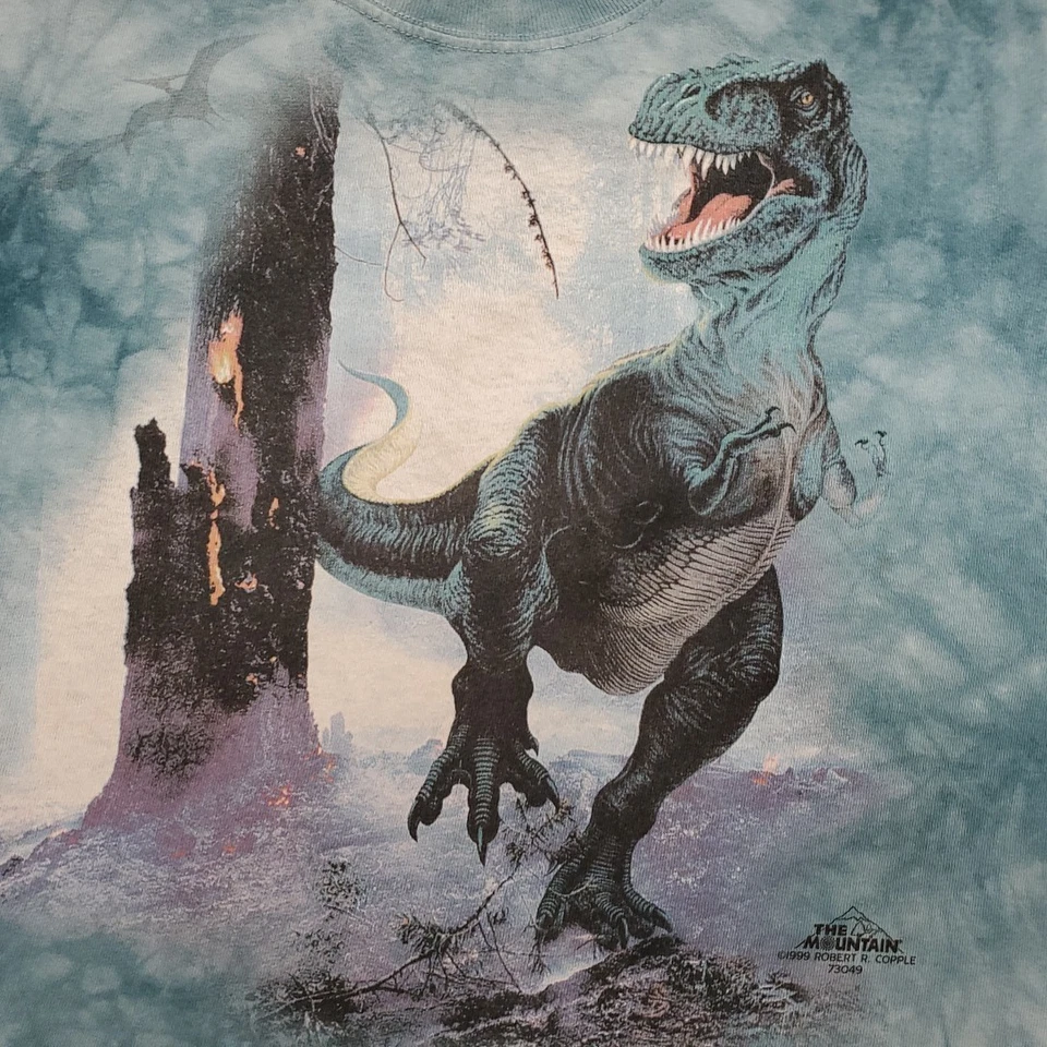 Mountain T Rex рубашка Kids L бирюзовый галстук краситель динозавр ворота природы ретро футболка - Изображение 2 из 4